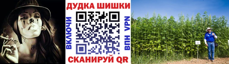 цена наркотик  нарко площадка телеграм  Конопля ГИДРОПОН  Кадников  hydra как войти 